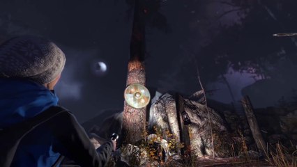 Through the Woods - Steam trailer