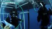 Man proposes to girlfriend in shark cage