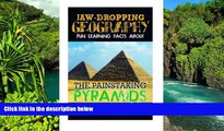 Must Have PDF  Jaw-Dropping Geography: Fun Learning Facts About Painstaking Pyramids: Illustrated