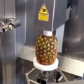 İzlemesi Aşırı Keyifli Sebze Meyve Soyma Makineleri