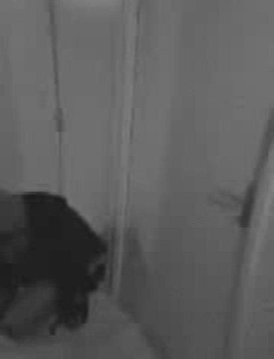 Il installe une caméra caché pour voir qui chie devant sa porte !