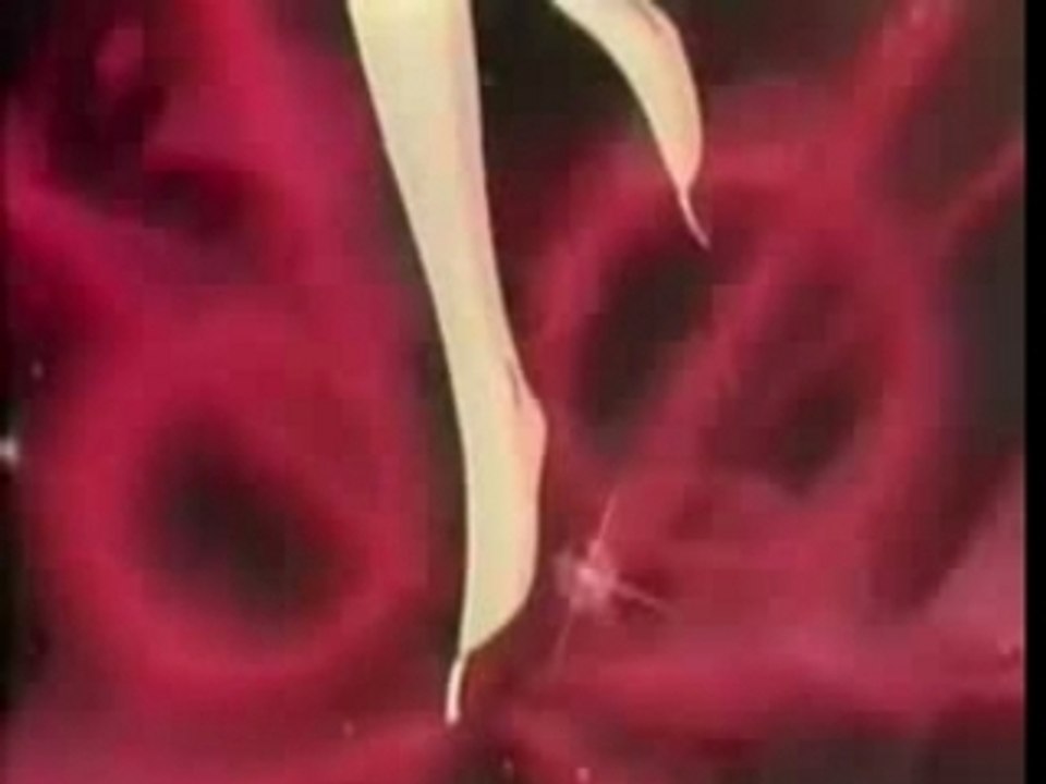 I)Transformation de Super Sailor Mars(f)
