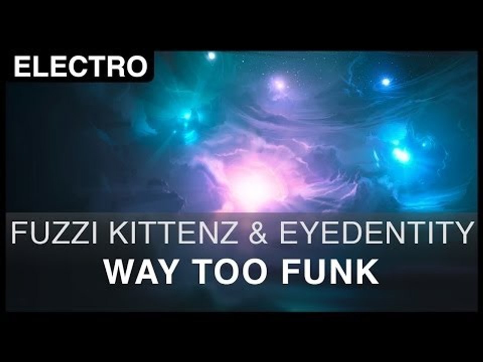 Fuzzi kittenz & eyedentity - way too funk [free]