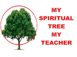 Lessons From My Spiritual Tree | My Teacher | Always Motivated