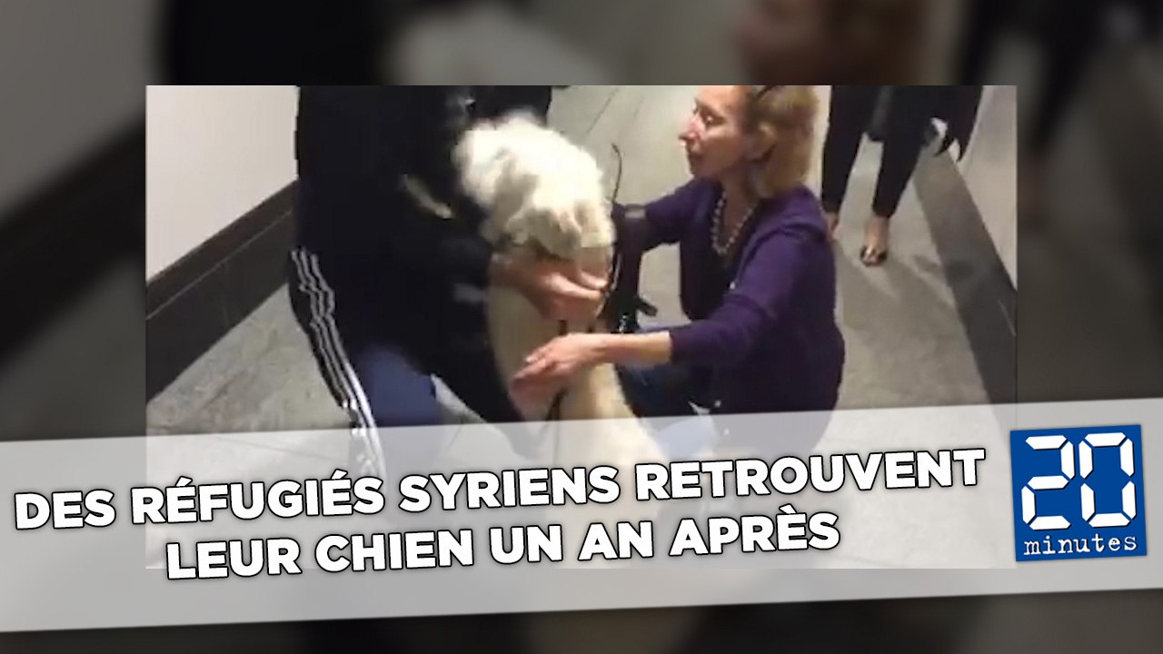 Des réfugiés syriens retrouvent leur chien un an après