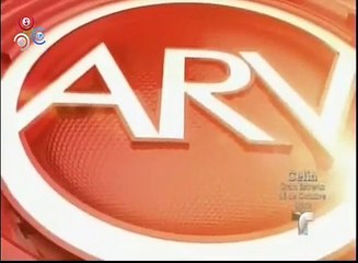 Fijate de que forma la policia atrapa esta pareja vestido de payasos tenebrosos en las calles