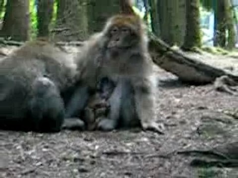 Louane vacances août 2007 046