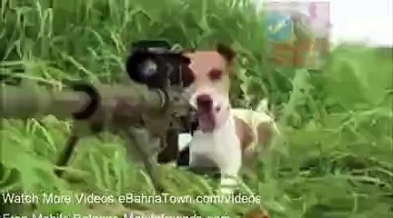 FUNNY RABIT SNIPER SHOOTER