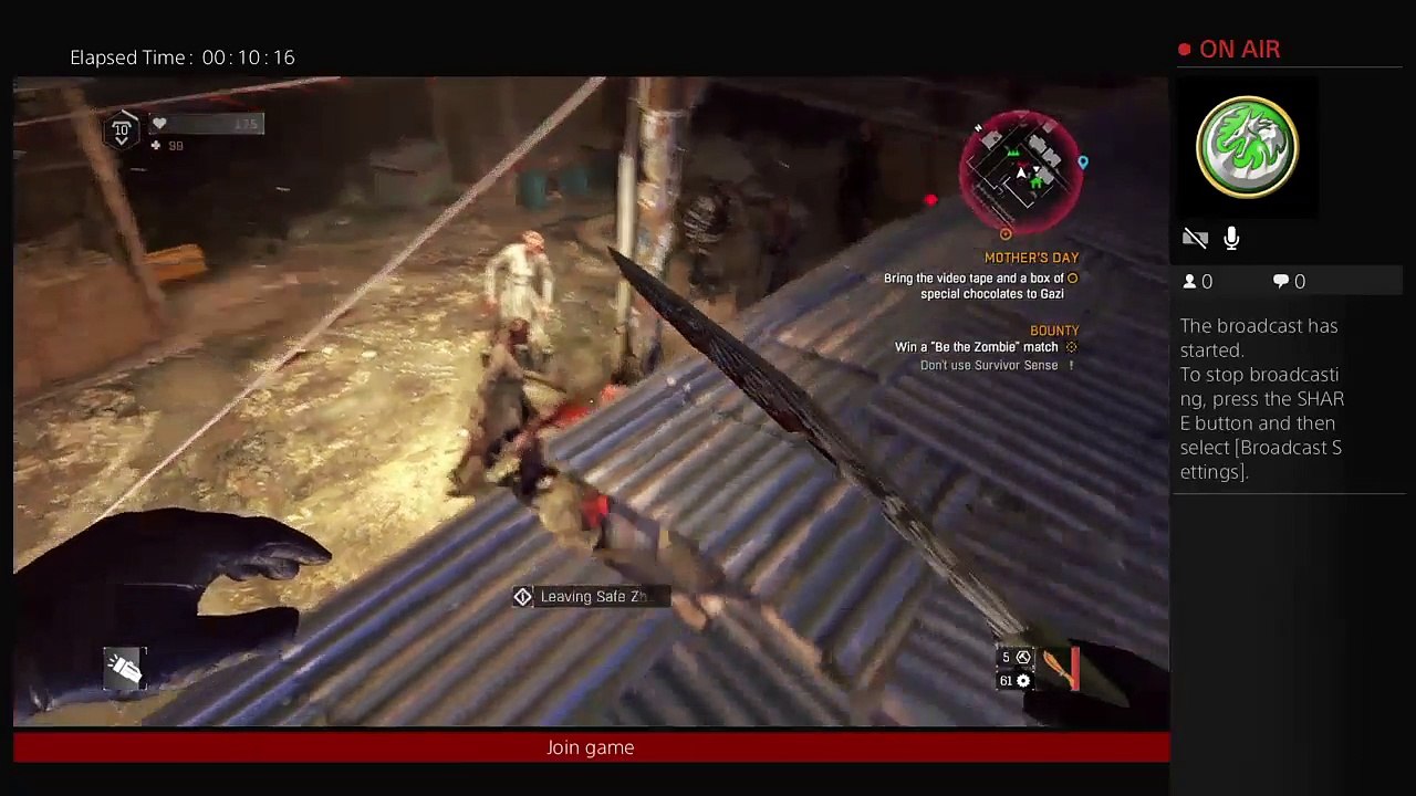 Dying light (17)