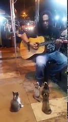 A guitarist starts playing, that's who comes to listen