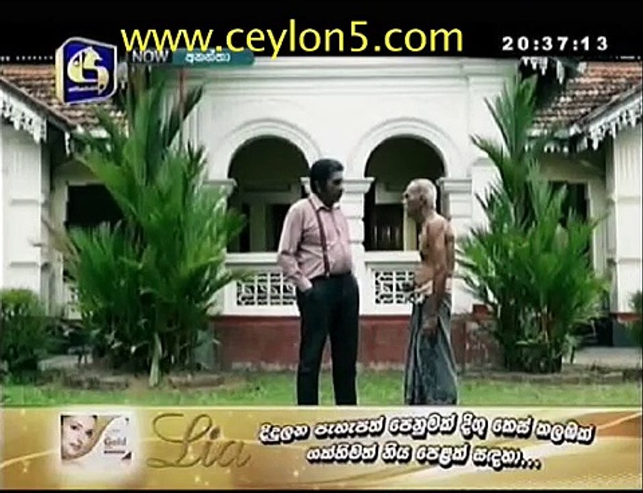anantha 53