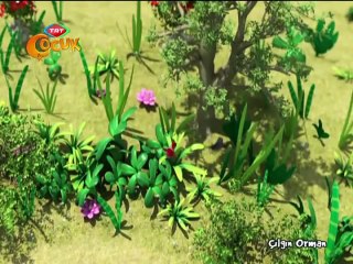 ÇILGIN ORMAN yarış