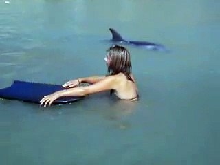 Moko the friendly dolphin and the cute French travelers.