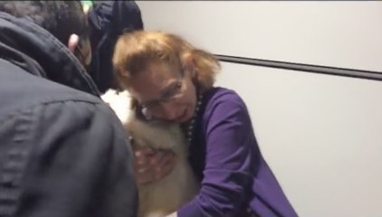 Une famille syrienne retrouve son chien un an après avoir fui la guerre