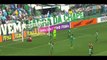 Chapecoense 3 x 0 Sport - Gols & Melhores Momentos - Campeonato Brasileiro 2016