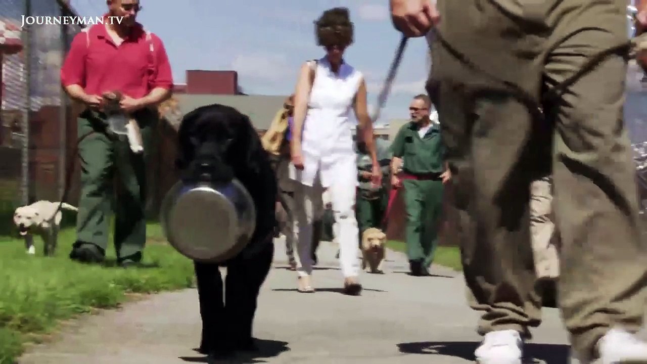 Prison Dogs - Trailer -