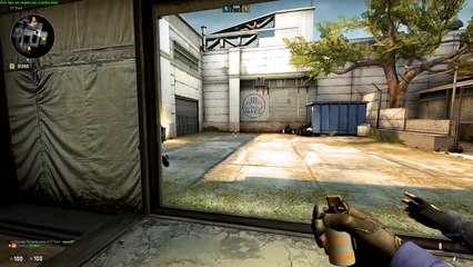 Fighting Reynad - Counter-Strike- Global Offensive