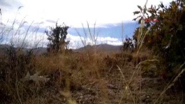 Bitlis?te El Yapımı Patlayıcılar İmha Edildi