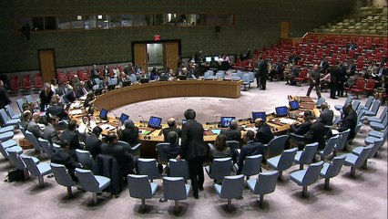 The UN peacekeeping force in Haiti must stay for six months