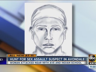 Avondale police look for sexual assault suspect