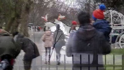 Timelapse Xmas Card Motion Graphic2(1280x720) - 07-10-2016