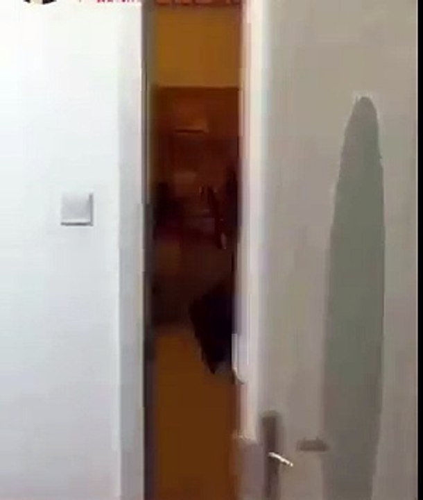 :) Çaplkınlık beceri ister. Compétences dévergondage. Licentiousness skill.