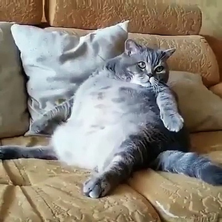 Таити Таити Нас и тут не плохо кормят