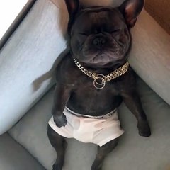 Авторитетный товарищ