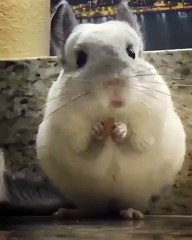 Когда ешь и смотришь любимый сериал