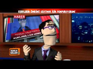 Kuklagiller - Donan Eşekler ve Kardan Kadın