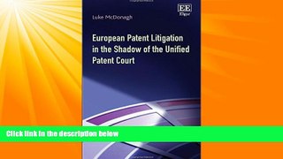 GET PDF  European Patent Litigation in the Shadow of the Unified Patent Court