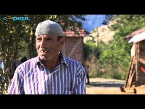 Topraktan ve Kitaptan - Fragman - TRT Okul