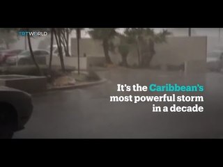 Caribbean's most powerful storm in a decade