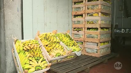 Preço da banana sobe e fruta perde espaço na lista de compras