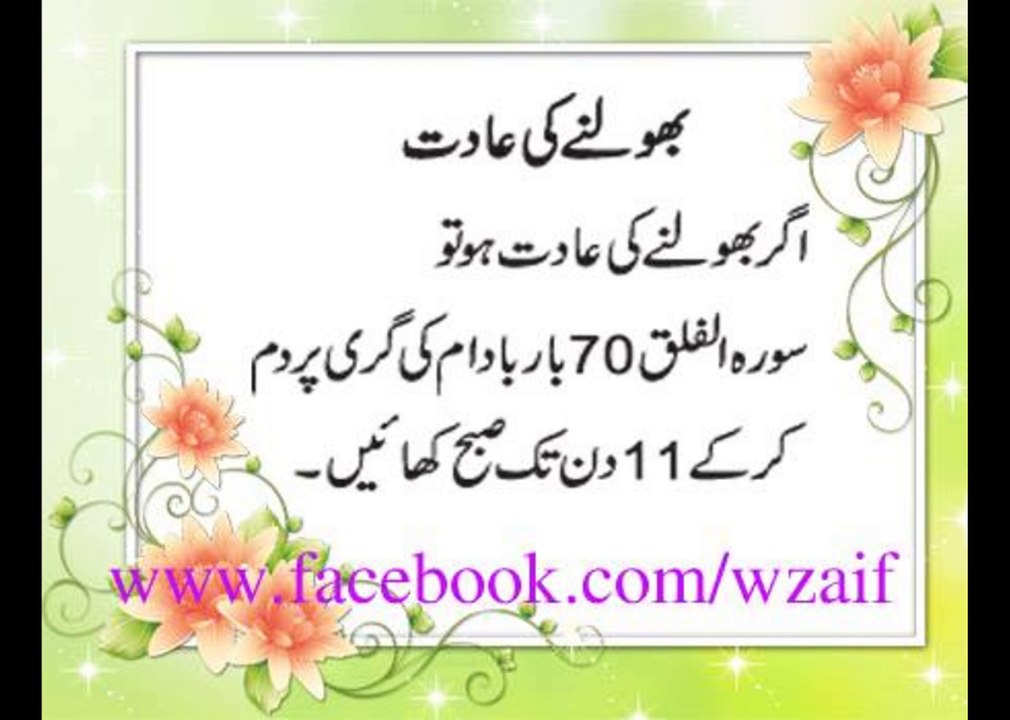 WZAiF Vedio 08