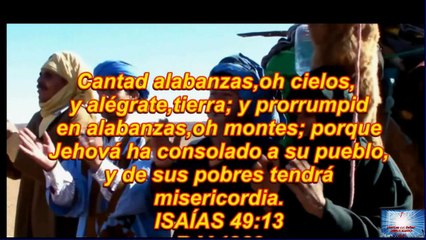 OASIS.T.C. Un lugar de descanso y donde puedes saciar tu sed.