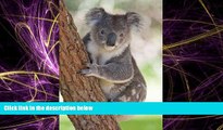 Online eBook Koala Bear Journal: 150 page lined notebook/diary