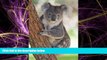 Online eBook Koala Bear Journal: 150 page lined notebook/diary