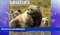 Choose Book 2016 Grizzlies Wall Calendar