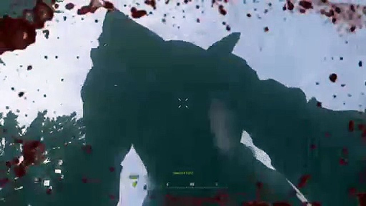 Cod 4