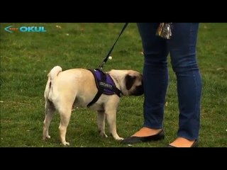 Korkunla Yüzleş - 6. Bölüm Fragman - TRT Okul