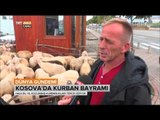 Kosova'da Kurban Bayramı Hazırlığı - Dünya Gündemi - TRT Avaz