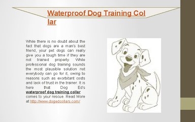 Waterproof dog training collar