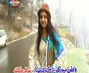 BISMILLAH KARAN NEW REMIX SARIKI SONG HD AFSHAN ZAIBI NEW PUNJBI SARIKI HIT HD SONG 2017