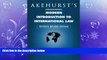 different   Akehurst s Modern Introduction to International Law
