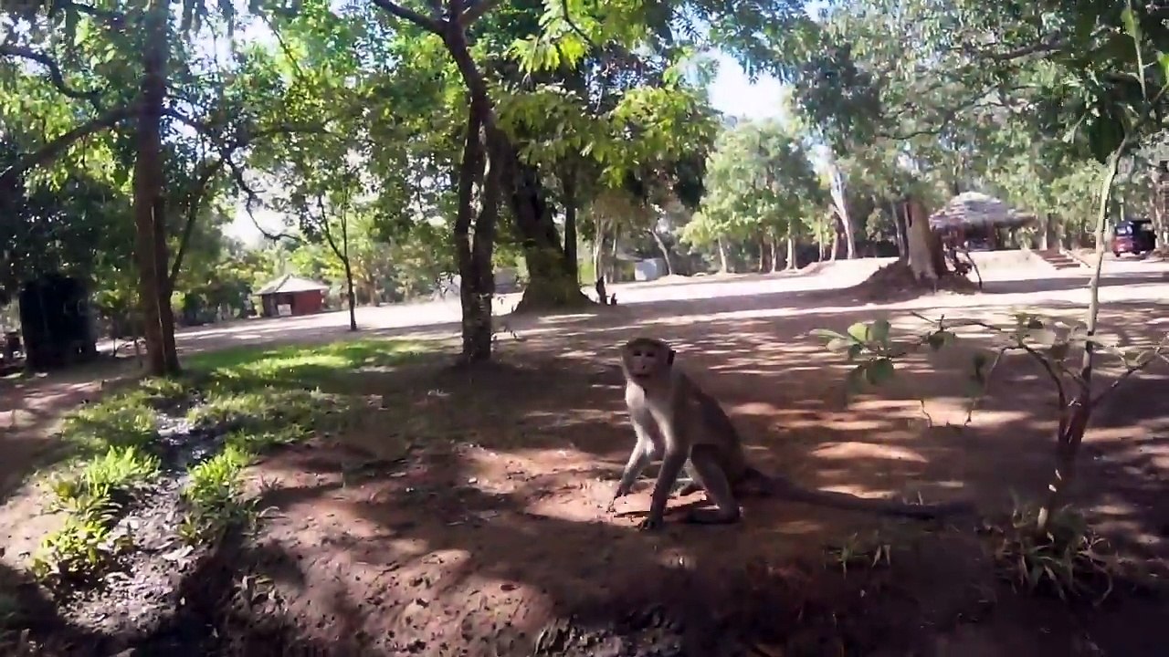 Sri Lanka 2016 gopro