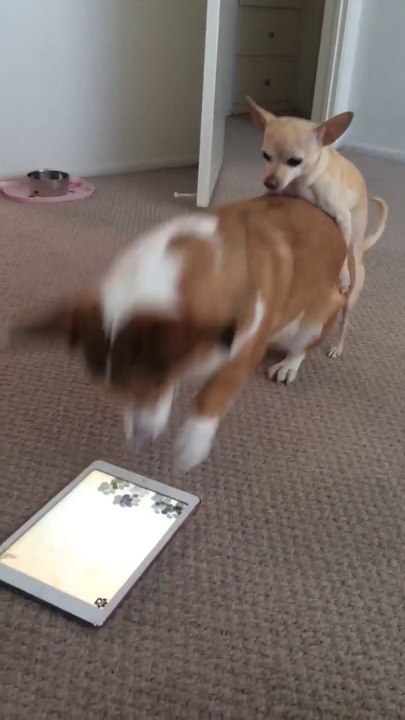 Vie de couple : quand ton copain veut te monter alors que tu joues à l'iPad