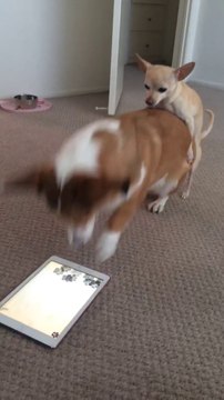 Vie de couple : quand ton copain veut te monter alors que tu joues à l'iPad