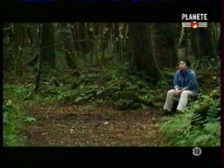 Le suicide au Japon Partie III