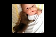 Un cucciolo e un neonato si vedono per la prima volta. L’incontro vi farà sciogliere il cuore